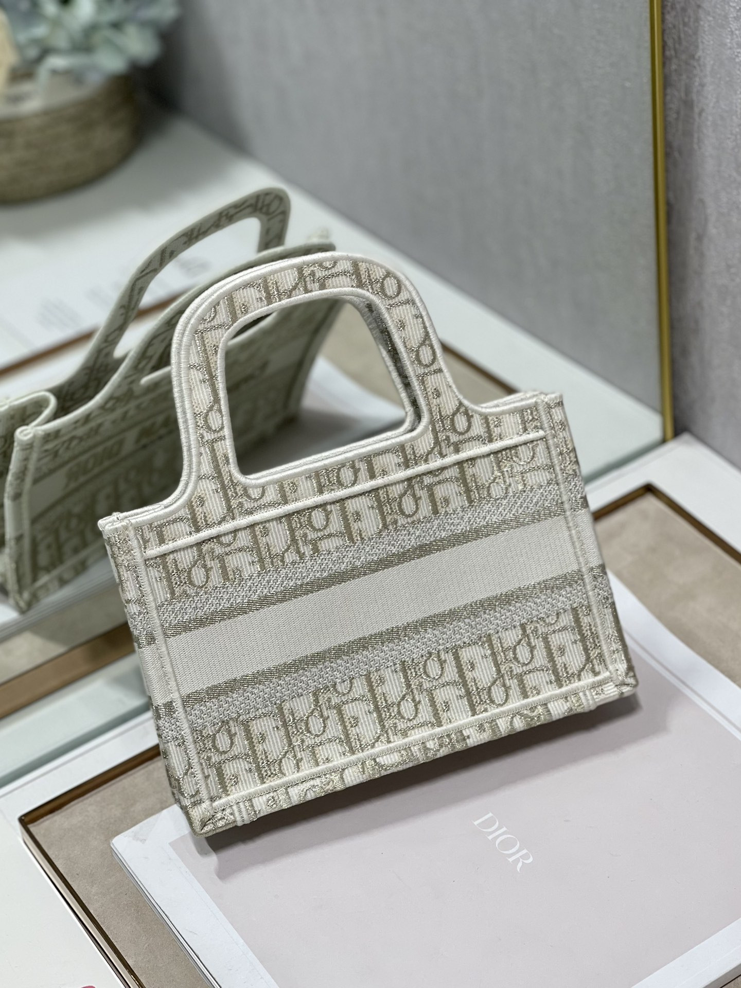 Mini D10r Book Tote