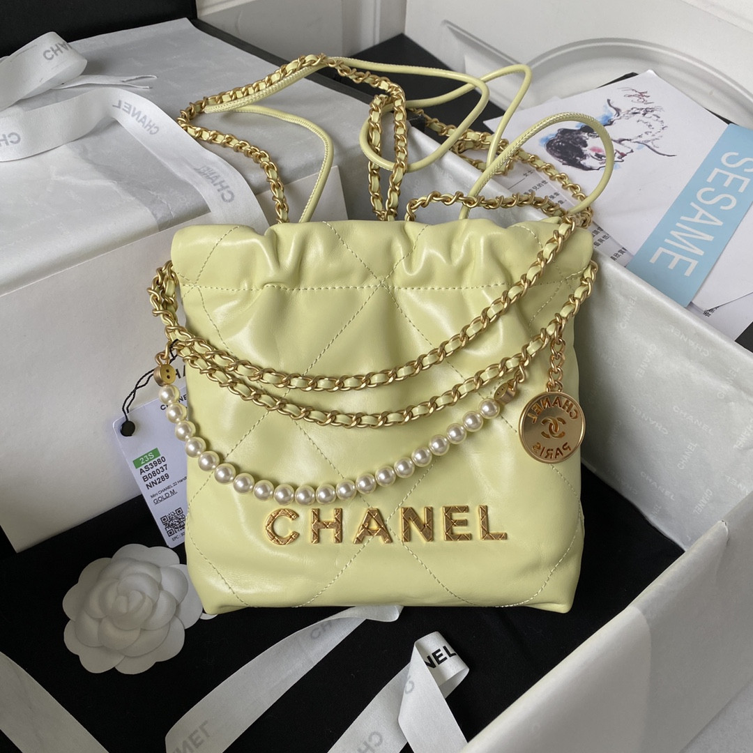 Chanle 22 Backpack Mini