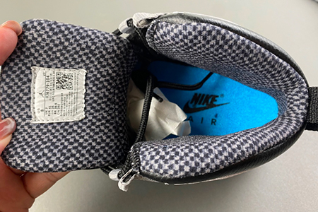 Air Jordan 10 “Steel” OG